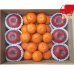  бесплатная доставка по всей стране 5,980 иен и меньше бесплатная доставка 2025 подарок по случаю конца года . лет . подарок по случаю конца года подарок зимний подарок подарок мандарин * яблоко комплект еда стоимость товар производство прямой сельское хозяйство производство сельское хозяйство производство предмет 