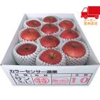  бесплатная доставка по всей стране бесплатная доставка 2025 подарок по случаю конца года . лет . подарок по случаю конца года подарок зимний подарок подарок Aomori префектура производство сахар раз 14 раз и больше солнечный ..(2.5kg) еда стоимость товар производство прямой сельское хозяйство производство сельское хозяйство производство предмет 