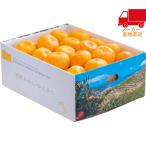  бесплатная доставка по всей стране 4,980 иен и меньше бесплатная доставка 2025 подарок по случаю конца года . лет . подарок по случаю конца года подарок зимний подарок подарок Ehime префектура запад . мир производство мандарин уншиу (3kg) еда стоимость товар производство прямой сельское хозяйство производство сельское хозяйство производство предмет 