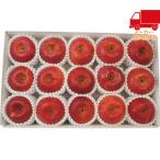  бесплатная доставка по всей стране 5,980 иен и меньше бесплатная доставка 2025 подарок по случаю конца года . лет . подарок по случаю конца года подарок зимний подарок подарок Nagano префектура производство солнечный .. яблоко (3.4kg) еда стоимость товар производство прямой сельское хозяйство производство сельское хозяйство производство предмет 