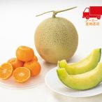  бесплатная доставка по всей стране бесплатная доставка 2025 подарок по случаю конца года . лет . подарок по случаю конца года подарок зимний подарок подарок местного производства маска дыня 1 шар * Wakayama префектура производство мандарин еда стоимость товар производство прямой сельское хозяйство производство сельское хозяйство производство предмет 