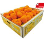  бесплатная доставка по всей стране 5,980 иен и меньше бесплатная доставка 2025 подарок по случаю конца года . лет . подарок по случаю конца года подарок зимний подарок подарок Wakayama префектура производство Arita мандарин (5kg) еда стоимость товар производство прямой сельское хозяйство производство сельское хозяйство производство предмет 