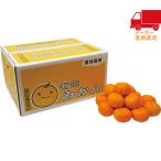  бесплатная доставка по всей стране бесплатная доставка 2025 подарок по случаю конца года . лет . подарок по случаю конца года подарок зимний подарок подарок Wakayama префектура производство Arita мандарин (7.5kg) еда стоимость товар производство прямой сельское хозяйство производство сельское хозяйство производство предмет 