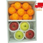  бесплатная доставка по всей стране 5,980 иен и меньше бесплатная доставка 2025 подарок по случаю конца года . лет . подарок по случаю конца года подарок зимний подарок подарок Arita мандарин * солнечный .. яблоко *.. яблоко еда стоимость товар производство прямой сельское хозяйство производство сельское хозяйство производство предмет 