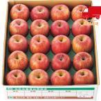  бесплатная доставка по всей стране бесплатная доставка 2025 подарок по случаю конца года . лет . подарок по случаю конца года подарок зимний подарок подарок Yamagata префектура производство солнечный .. яблоко (5kg) еда стоимость товар производство прямой сельское хозяйство производство сельское хозяйство производство предмет 
