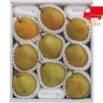  бесплатная доставка по всей стране бесплатная доставка 2025 подарок по случаю конца года . лет . подарок по случаю конца года подарок зимний подарок подарок Inoue san. большой шар полки конструкция la* Франция 3kg(6~9 шар ) еда стоимость товар производство прямой сельское хозяйство производство сельское хозяйство производство предмет 