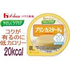 VE1897-091314....lak уход 20kcal пудинг ka Star do тест house еда ....lak уход серии калории регулировка еда яичный желток. kok...... тест. ka Star do тест.