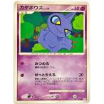 カゲボウズの出品写真