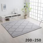 (タイムセール中) 絨毯 撥水 約200×25