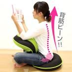 【送料無料】座椅子／背筋がGUUUN美姿勢座椅子【椅子 リクライニング マッサージ ストレッチ 健康グッズ 美容グッズ 腰痛対策 肩こり防止】