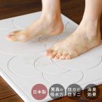 バスマット 珪藻土「なのらぼ足快バスマット」珪藻土バスマット 送料無料【速乾 バスマット ub 珪藻土 バスマット 珪藻土バスマット】
