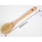 日本製 サイプレスボディブラシＬ