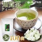 [ お茶 緑茶 ギフト ] 知覧茶 ティーバッグ 3g×100袋 [ 鹿児島県産 深むし茶 三角ティーバッグ 業務用 カテキン 茶葉 煎茶 水出し 一番茶 お歳暮 父の日 ]