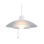 LEDペンダント 4968912601813 PE-313CL