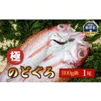 日本海産のどぐろ開き 800g級×1尾