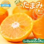 たまみ L~Sサイズ 2.5kg