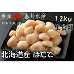 ふるさと納税 \漁業者応援品/お刺身ほたて貝柱1.2kg A-42125 北海道根室市
