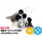 猫じゃらし オーストリッチの羽のふわふわねこじゃらし