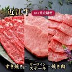 12ヵ月連続お届け 近江牛定期便 すき焼き650g×4回