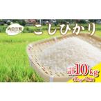 令和7年産 コシヒカリ 10kg