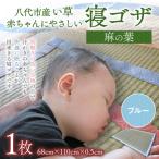ゴザ 赤ちゃんにやさしい寝ゴザ ブルー い草