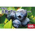 fu.... налог голубика крупный 600g 6 месяц c 7 месяц до конца отправка Berry Tokushima префектура 