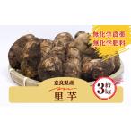 生命の農法 無化学農薬 無化学肥料栽培 里芋 約3kg
