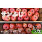ふるさと納税 訳あり りんご サンふじ 家庭用 約5kg|りんご 長野県千曲市