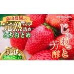 ショッピングふるさと納税 先行予約 ふるさと納税 【先行予約】【数量限定200セット】嘉山農園の完熟バラ詰めいちご とちおとめ（260g×2パック）イチゴ 苺 フルーツ 果物 .. 神奈川県横須賀市