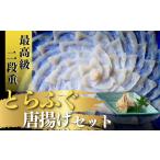 とらふぐ刺身 唐揚げセット2-3人前 BTCX005ふぐ