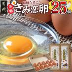 新鮮赤卵 きみ恋卵 25個