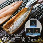 サバ缶詰 プレミアム 3種セット 塩 レモン