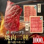 オリーブ牛 焼肉二種食べ比べセット お肉 オリーブ 牛肉 焼肉 牛 食べ比べ