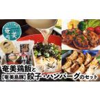 ショッピングふるさと納税 ハンバーグ ふるさと納税 【奄美鶏飯】と【奄美島豚】餃子・ハンバーグのセット A011-004 ハンバーグ 2個 餃子 12個 鶏飯 2食分 セット 奄美 島豚 黒豚 簡.. 鹿児島県奄美市