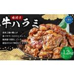 牛肉 味付け 牛ハラミ 5パック