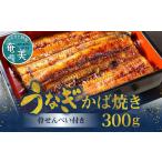 創業140年 老舗うなぎ屋のうなぎのかば焼き2尾と骨せんべい…