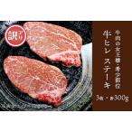 ふるさと納税 76-A3【訳あり】牛肉の女王様！希少部位！牛ヒレステーキ3枚（計300g） 新潟県長岡市