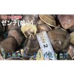 はまぐり ゼンナ 冷冷凍 2kg入り