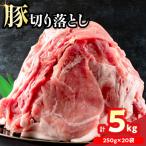 小分けで便利 豚 切り落とし 計5kg