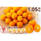 種無し金柑 ぷちまる 訳あり 1.05kg
