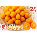 種無し金柑 ぷちまる 訳あり 2kg
