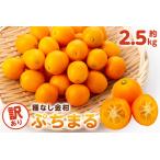 種無し金柑 ぷちまる 訳あり 2.5kg