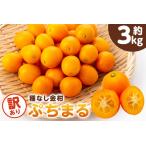 種無し金柑 ぷちまる 訳あり 3kg