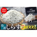 冷凍釜揚げしらす1kg 100g×10パック