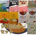 南信州仕立て9種のカレーセット