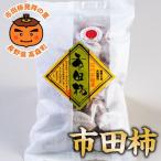 市田柿徳用袋 3L~4Lサイズ 500g×2袋