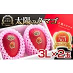 ふるさと納税 先行予約【糖度15度以上】最高級ブランド『太陽のタマゴ』3Lサイズ2個　宮崎県西都市産完熟マンゴー　2026年発送＜2.8-2＞ 宮崎県西都市