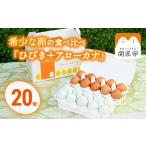 fu.... таможня Takumi яйцо трещина .+ Arrow kana половина комплект ( итого 20 шт )* Hokkaido * Okinawa * отдаленный остров к рассылка не возможно _CP06 Ibaraki префектура Furukawa город 