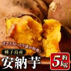 安納芋 さつまいも 6kg