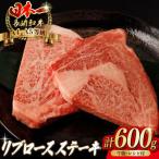 牛肉ステーキ 600g